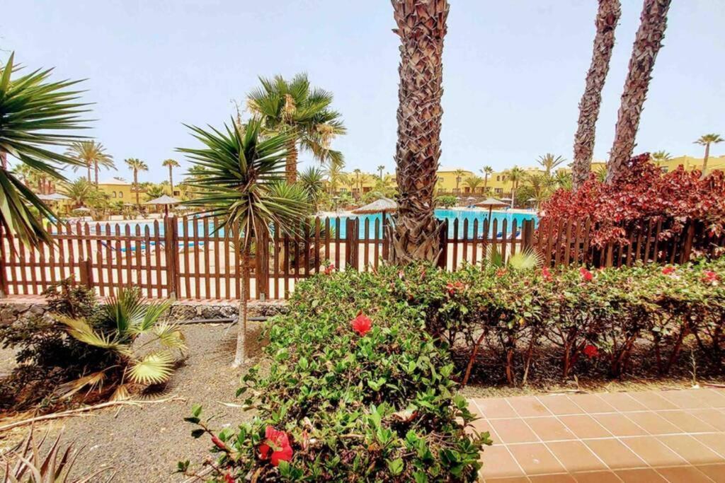 Tamarindo 28, Pool Front,Free Wifi Appartement Corralejo Buitenkant foto