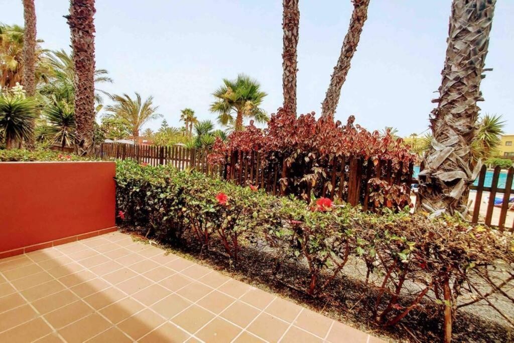 Tamarindo 28, Pool Front,Free Wifi Appartement Corralejo Buitenkant foto